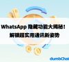 WHATAPP隐藏功能